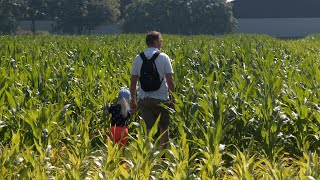 Maisdoolhof opent weer in Wieringerwerf voor zomerplezier [upl. by Yuhas]