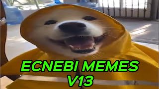 ECNEBI MEMES V13 [upl. by Araiet]