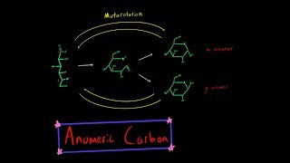 Alpha Anomer vs Beta Anomer Carbohydrate Cyclization Anomeric Carbon Mutarotation Biochemistry MCAT [upl. by Anitserp]