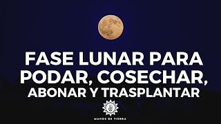 🌖 Como Usar Fases Lunares Para Podar Cosechar Abonar Injertar y plantar 🌙 [upl. by Onitrof93]