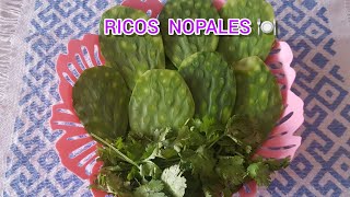 3 RECETAS CON NOPALES BUENÍSIMAS [upl. by Eirrod]