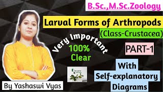 BSc MSc ZoologyLarval Forms of ArthropodsCrustacea [upl. by Aikkan]