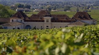 France’s SaintEmilion A red wine lover’s paradise [upl. by Finlay]