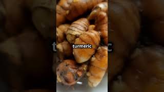 Tumeric The Ultimate Superfood for Health and Wellness [upl. by Goldfinch]