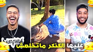 هادشي خرج على السيطرة 🫨 هادي مالها 🤣 [upl. by Viehmann]