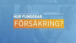 Hur fungerar försäkring [upl. by Ennaerb]