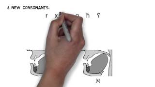 Arabic Video 2 DRAFT Consonants [upl. by Langston]