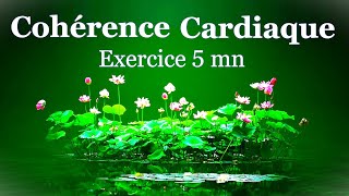 cohérence cardiaque exercice 5 mn [upl. by Yahsel]