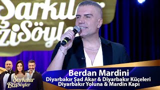 Berdan Mardini  Diyarbakır Şad Akar amp Diyarbakır Küçeleri amp Diyarbakır Yoluna amp Mardin Kapı [upl. by Sharman327]