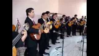 Rondalla JeruelLas 100 Ovejas [upl. by Ofelia]