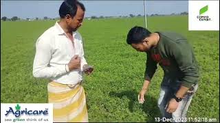 Farmer Testimonial  Agricarecorp [upl. by Bass]