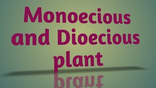 The Flower Monoecious and Dioecious plantsPlant physiology [upl. by Nelleeus]