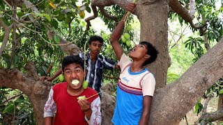 Village Style Kacha Amm Makha Mashala Raw Mango by villfood boys  Yummy Village Food Recipes [upl. by Annaes]