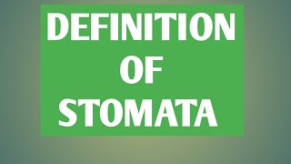 DEFINITION OF STOMATA ll WHAT IS STOMATA [upl. by Annemarie]