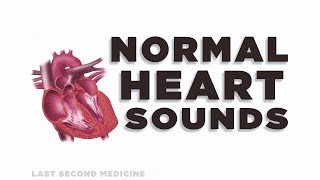 Heart Sounds Series  Normal Heart Sounds [upl. by Jorgensen]