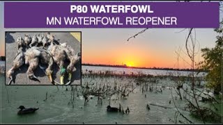 ReOuverture au Gibier dEau  MN USA Sept 2024  MN Waterfowl ReOpener [upl. by Macey]