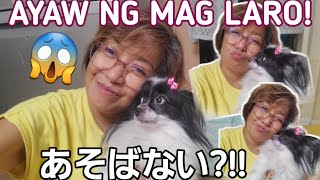 🐶MASAKIT ANG TIYAN MATIGAS 😱💦 げんきない😰😖 cutieramramdancearound doglovers atelizchannel [upl. by Assinna281]