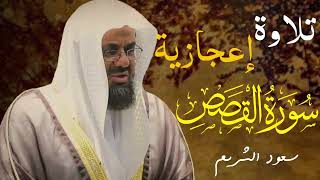 سورة القصص سعود الشريم saud al shuraim surah qasas [upl. by Noyr310]