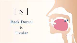 ɴ̥  unvoiced back dorsal uvular nasal stop [upl. by Ekralc]