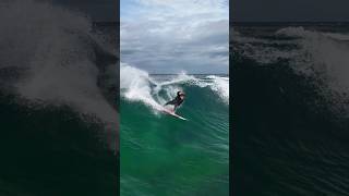 Dee why boardrider surfing Dee why point this morning [upl. by Nyladnek]