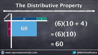 More Distributive Property by Using Multiplication By Chunking 6 x 10 is the same as 610  4 [upl. by Ardnasella]