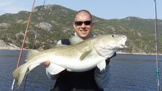 Live Bisse Dorsche überlisten bei wenig Drift Hitra Norwegen quotExitusFishingquot [upl. by Nnyw790]