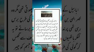 Ababeel Aur Abraha ka waqia  shortsvideo motivation islamic quotes [upl. by Anelleh]