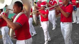 colegio leon siguenza  flores negras [upl. by Eeryk]