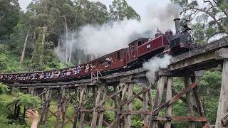 Puffing Billy on Tuesday 12 March 2024 [upl. by Ennairrek]