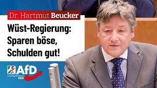 WüstRegierung Sparen böse Schulden gut – Dr Hartmut Beucker AfD [upl. by Llemhar]