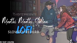 Meethi Meethi Gallan lofislowedreverb  Mohit Chouhan [upl. by Llehsad934]