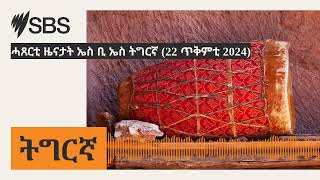 ሓጸርቲ ዜናታት ኤስ ቢ ኤስ ትግርኛ 22 ጥቅምቲ 2024  SBS Tigrinya  ኤስቢኤስ ትግርኛ [upl. by Cowan]