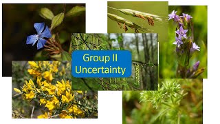 Bach Flower Therapy Online Course Bach essences Group II  Uncertainty [upl. by Karisa176]