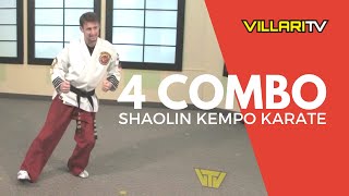 4 Combination in the Shaolin Kempo Karate Style of Martial Arts [upl. by Anirok203]