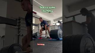 WINTER ARC PT21 stacco sumo 3x210kg fitness palestra staccodaterra [upl. by Hairahs292]