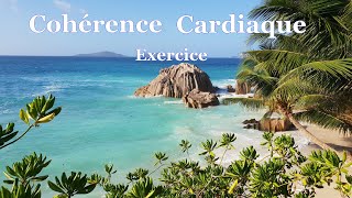 Coherence cardiaque Exercices 5 minutes 55 [upl. by Ronica]