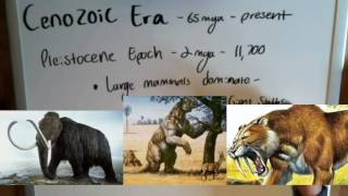 The Cenozoic Era  Geologic Time [upl. by Zitella]