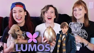 Win A Trip to the FANTASTIC BEASTS PREMIERE Lumos Charity Stream [upl. by Huggins]