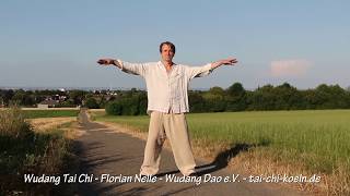 Wudang Tai Chi Koeln 36 Summer Form [upl. by Arenahs]