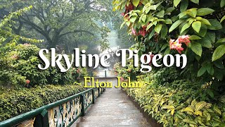 SKYLINE PIGEON  4k Karaoke Version  in the style of Elton John [upl. by Yesnek722]