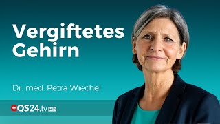 Vergiftetes Gehirn – Schwermetallbelastungen und seine Folgen  Dr med Wiechel  Visite  QS24 [upl. by Aicineohp904]