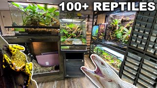 REPTILE ROOM TOUR JULY 2023 100 REPTILES in one room [upl. by Yrrehc184]