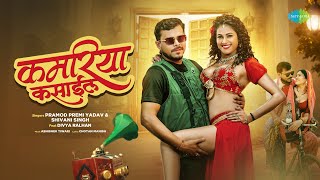 Video  कमरिया कसाईल  Kamariya Kasaail  Pramod Premi Yadav ft Divya Ralhan  New Bhojpuri Song [upl. by Pegasus]