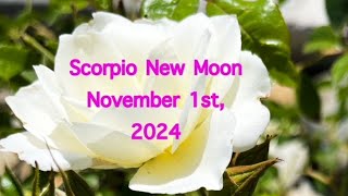 Scorpio New Moon November 1st 2024 Astrology Energy  New Energy For Healing amp Relationships [upl. by Mika]