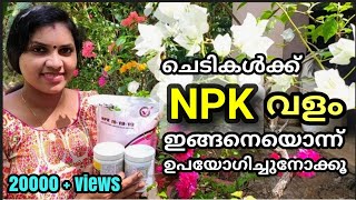 NPK വളങ്ങൾ ചെടികൾക്ക് ഇങ്ങനെ ഉപയോഗിക്കൂHow to use NPK fertilizer in Malayalam [upl. by Ecaidnac]