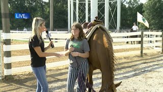 LIVE at Six Tippecanoe County 4H Fair [upl. by Rubinstein]