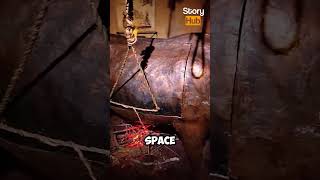 The Brazen Bull The Most Horrifying Torture Device shorts viral [upl. by Anelra599]