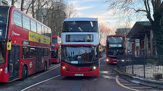 First Day In Operation  London Bus Route SL2 Observations [upl. by Dulla]