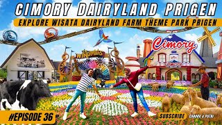 WISATA CIMORY PRIGEN PASURUAN DE WINDMILLS DAN DAIRYLAND [upl. by Introk]