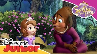 Sofia the First  Princess Charlotte  Official Disney Junior Africa [upl. by Shanta]